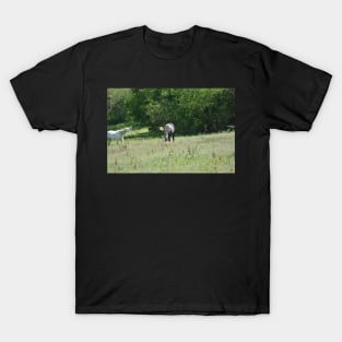 Wild Horses T-Shirt